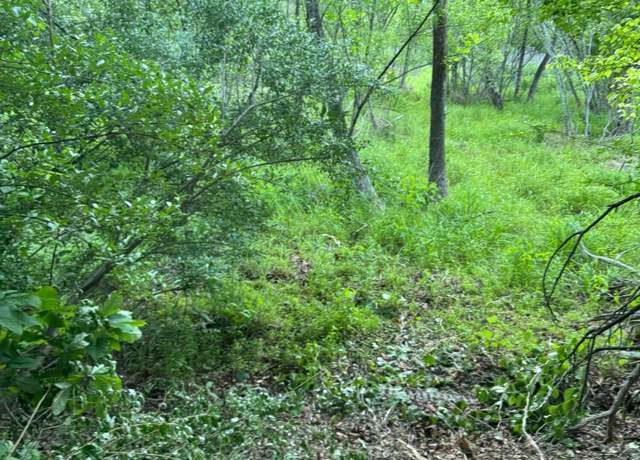 Property at Lot 77 North Church Dr, Hardy, VA 24101
