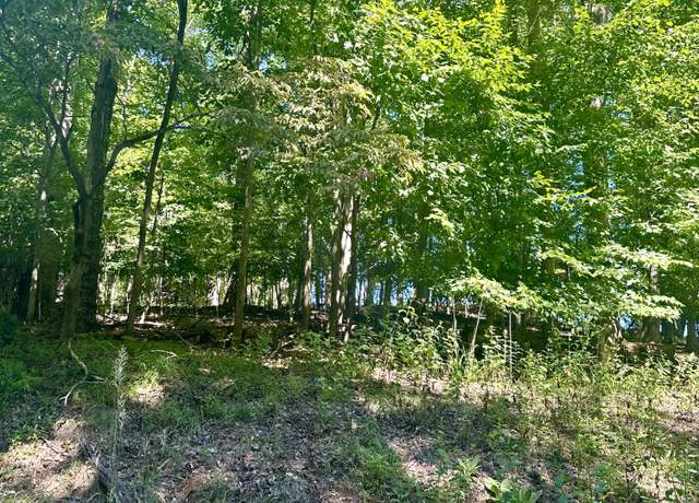 Property at LOT 1 Whisperwood Ln, Moneta, VA 24121
