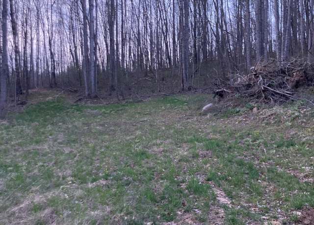 Property at 0 Braxton Dr, Buchanan, VA 24066