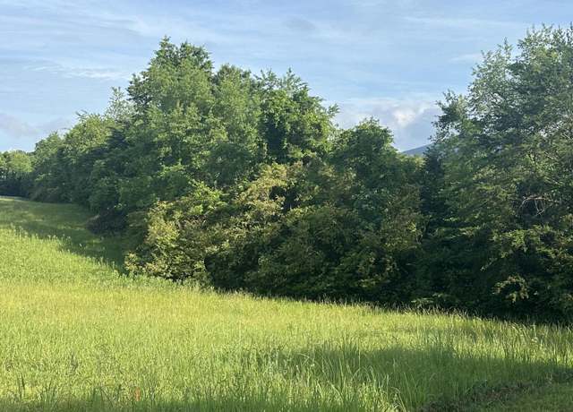 Property at 0 Corner Virginia Ridge Dr, Hardy, VA 24101