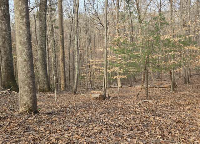 Property at Lot 60 Cherrywood Ln, Moneta, VA 24121