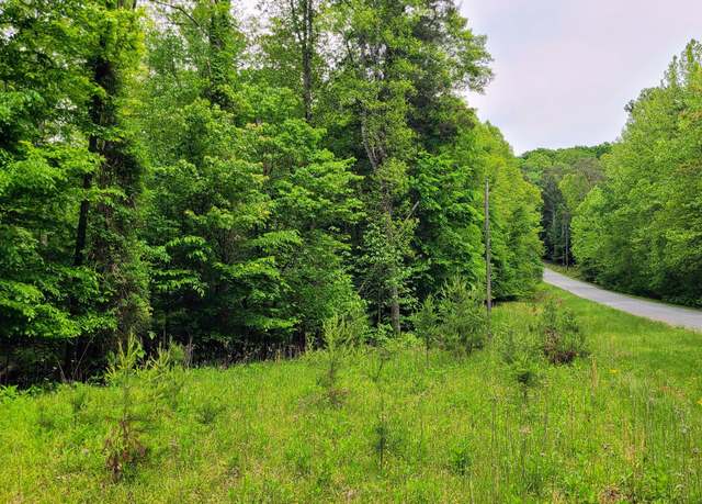 Property at Lot 23 Moss Meadows Dr, Pittsville, VA 24139