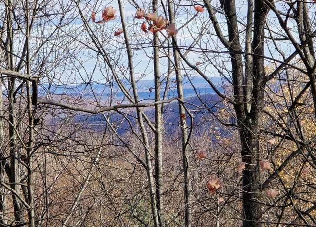 Property at 0 Taylor Mountain Rd, Thaxton, VA 24174