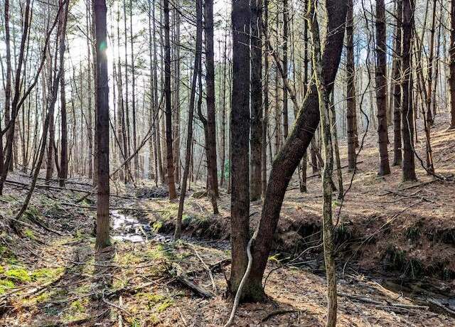 Property at TBD Indian Valley PO Rd, Indian Valley, VA 24105