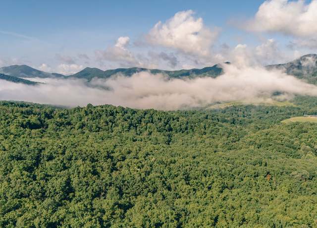 Property at 0 Buffalo Rd, Buchanan, VA 24066
