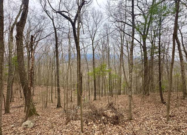 Property at 0 Taylor Ln, Covington, VA 24426