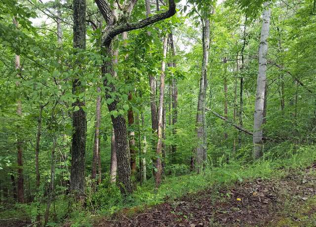 Property at 00 Cedar Bluff Ln, Hardy, VA 24101