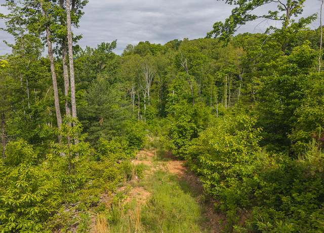Property at Lot 2 Shortcut Dr, Woolwine, VA 24185