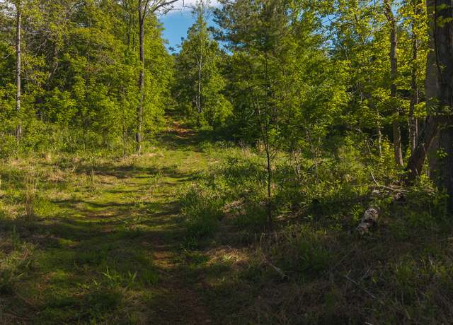 Property at Lot 3 Shortcut Dr, Woolwine, VA 24185