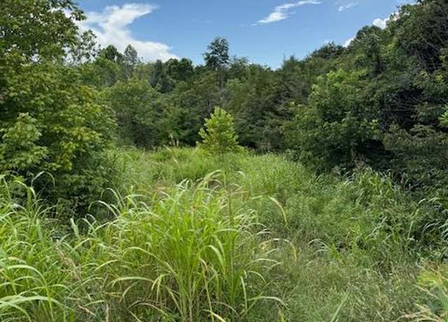 Property at 0 Moneta Rd, Bedford, VA 24523