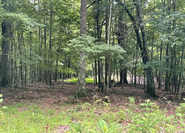 Property at 0 Hickory Falls Rd, Blue Ridge, VA 24064