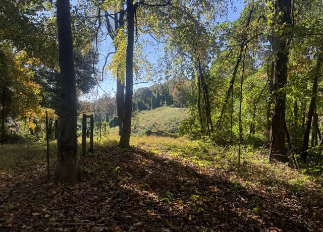 Property at 0 Virgil H Goode Hwy, Boones Mill, VA 24065