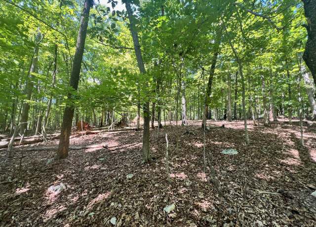 Property at 0 Poplar Dr, Hardy, VA 24101
