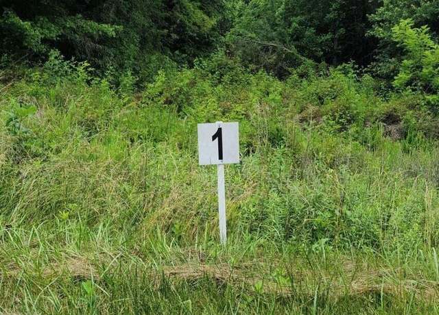 Property at Lot 1 Dillards Hill Rd, Union Hall, VA 24176
