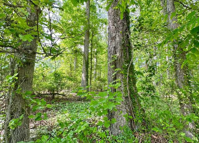 Property at Lot 1 & 2 St John St, Clifton Forge, VA 24422
