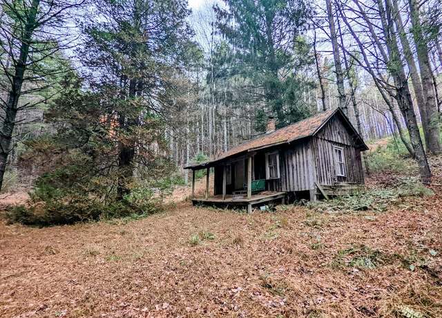 Property at 670 Vaughns Mill Rd NW, Indian Valley, VA 24105