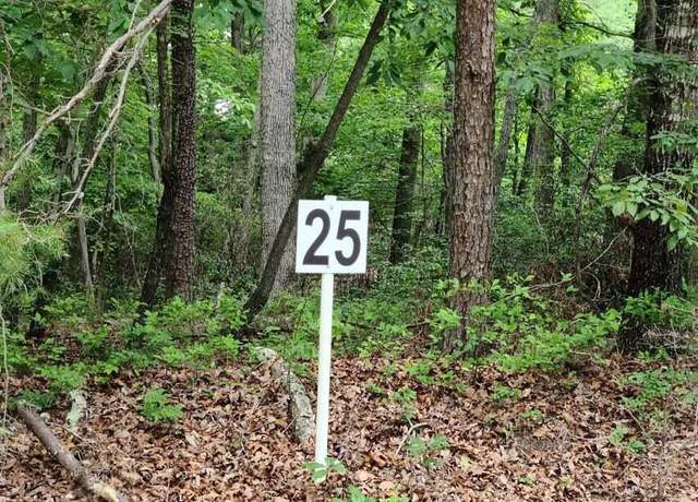 Property at Lot 25 Belle Isle Dr, Union Hall, VA 24176