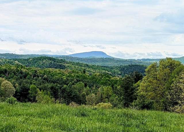 Property at 0 Alum Ridge Rd NW, Willis, VA 24380