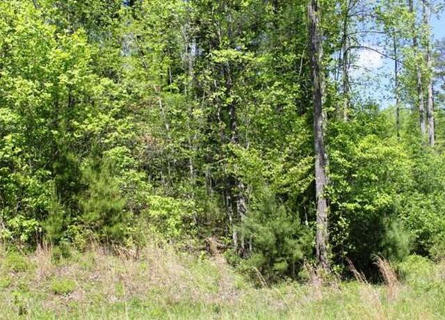 Property at Tract 9 Mint Ln, Callaway, VA 24067