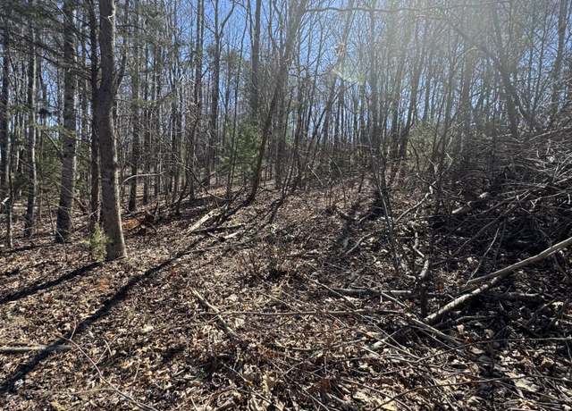 Property at Lot 7A Navajo Cir, Henry, VA 24102