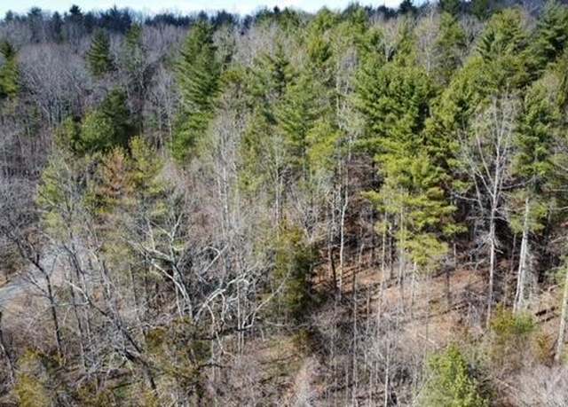 Property at 0 Spring Chase Dr, Glade Hill, VA 24092