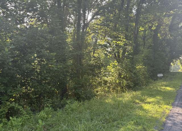 Property at 0 Oak Ridge Rd, Buchanan, VA 24066
