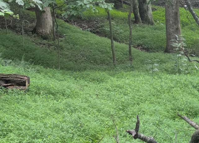 Property at Lot 5 Elk Spur Rd, Fancy Gap, VA 24328