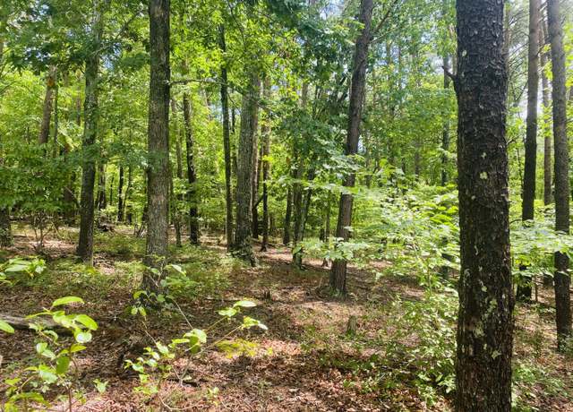Property at Lot 97 Greenberry Dr, Pittsville, VA 24139