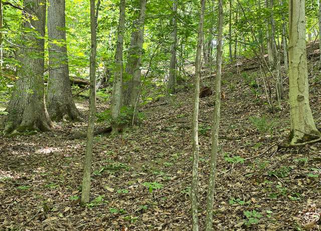 Property at 0 Ravens Ridge Rd, Pearisburg, VA 24134