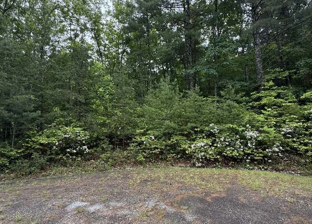 Property at Lot 5 Galax Rd, New Castle, VA 24127