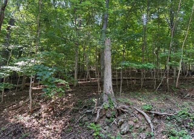 Property at 00 Zana Rd, Salem, VA 24153
