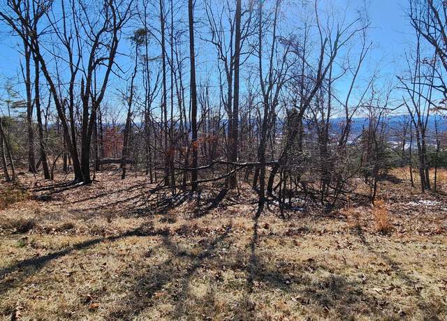 Property at Lot 47 Summit Dr, Rocky Mount, VA 24151