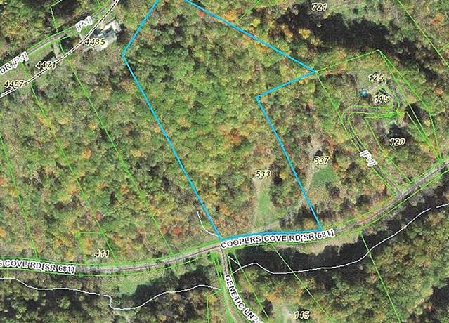 Property at 533 Coopers Cove Rd, Hardy, VA 24101