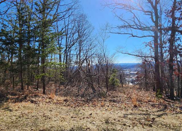 Property at Lot 46 Summit Dr, Rocky Mount, VA 24151