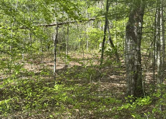 Property at 0 Dry Hill Rd, Ferrum, VA 24088