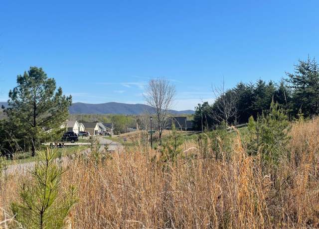 Property at 69 Barrows Hill Dr, Huddleston, VA 24104