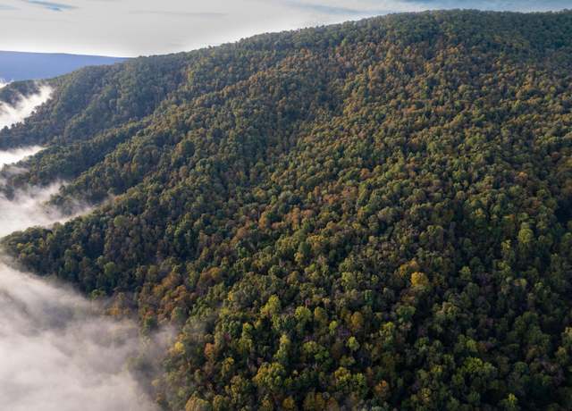Property at 0 Robertson Mountain Rd, Narrows, VA 24124
