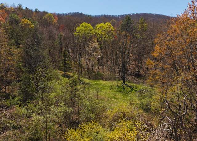 Property at TBD Byrnes Chapel Rd, Bland, VA 24315