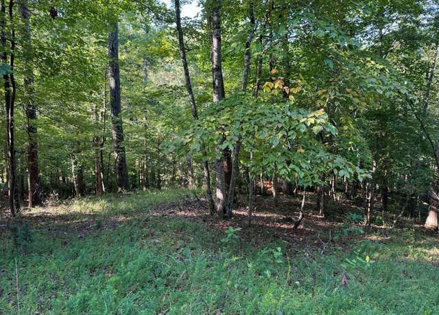 Property at Lot 2 Cedar Bluff Ln, Hardy, VA 24101