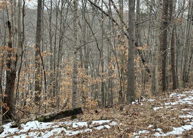 Property at Lot 7 Trapper Ln, Vinton, VA 24179