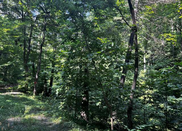 Property at 5475 Sugar Loaf Mountain Rd, Roanoke, VA 24018