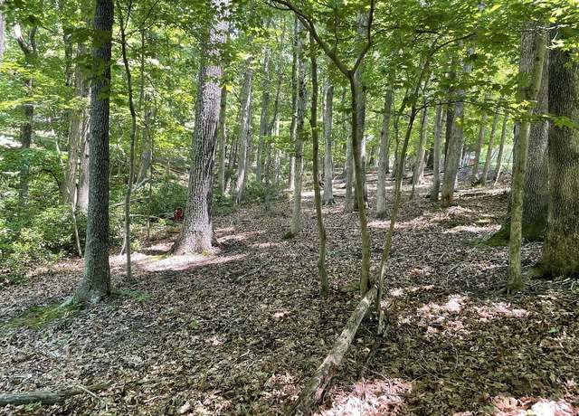 Property at 0 Cedar Bluff Ln, Hardy, VA 24101