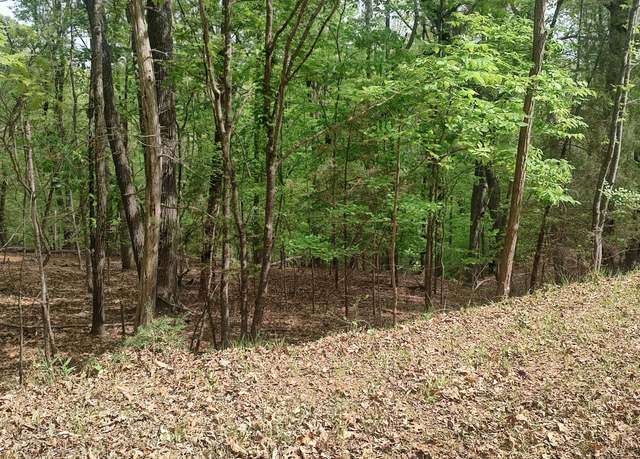 Property at Lot 52 Shad Run Dr, Moneta, VA 24121