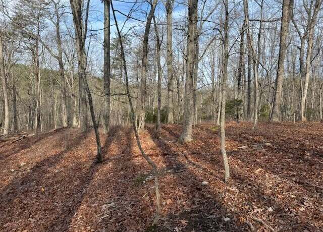 Property at Lot 36 Chestnut Dr, Hardy, VA 24101