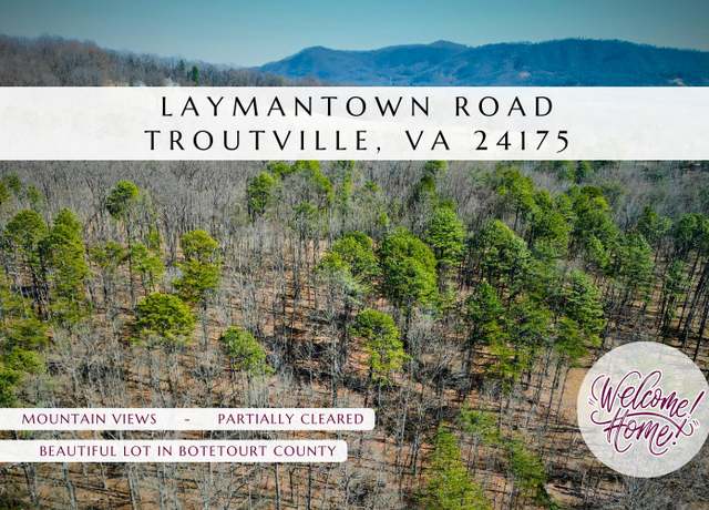 Property at 0 Laymantown Rd, Troutville, VA 24175