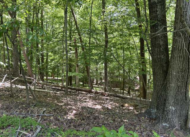 Property at Lot 40 Old Mill Dr, Hardy, VA 24101