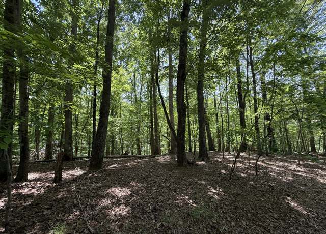 Property at Lot 53 Hickory Woods Ln, Hardy, VA 24101