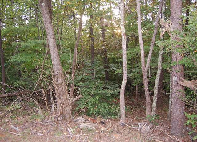 Property at Undisclosed address, Moneta, VA 24121