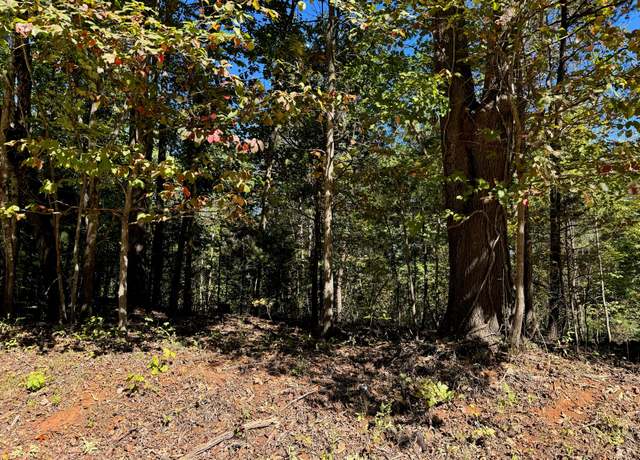 Property at Lot 3 Narrows Rd, Boones Mill, VA 24065