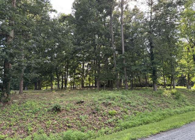 Property at Lot 59 Macgregor Dr, Blue Ridge, VA 24064